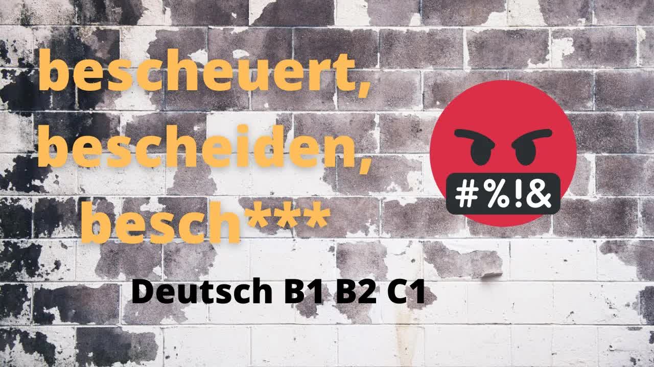 سه واژهٔ مشابه اما متفاوت: Bescheuert، beschämt و bescheiden | زبان محاوره‌ای آلمانی | B1–C1