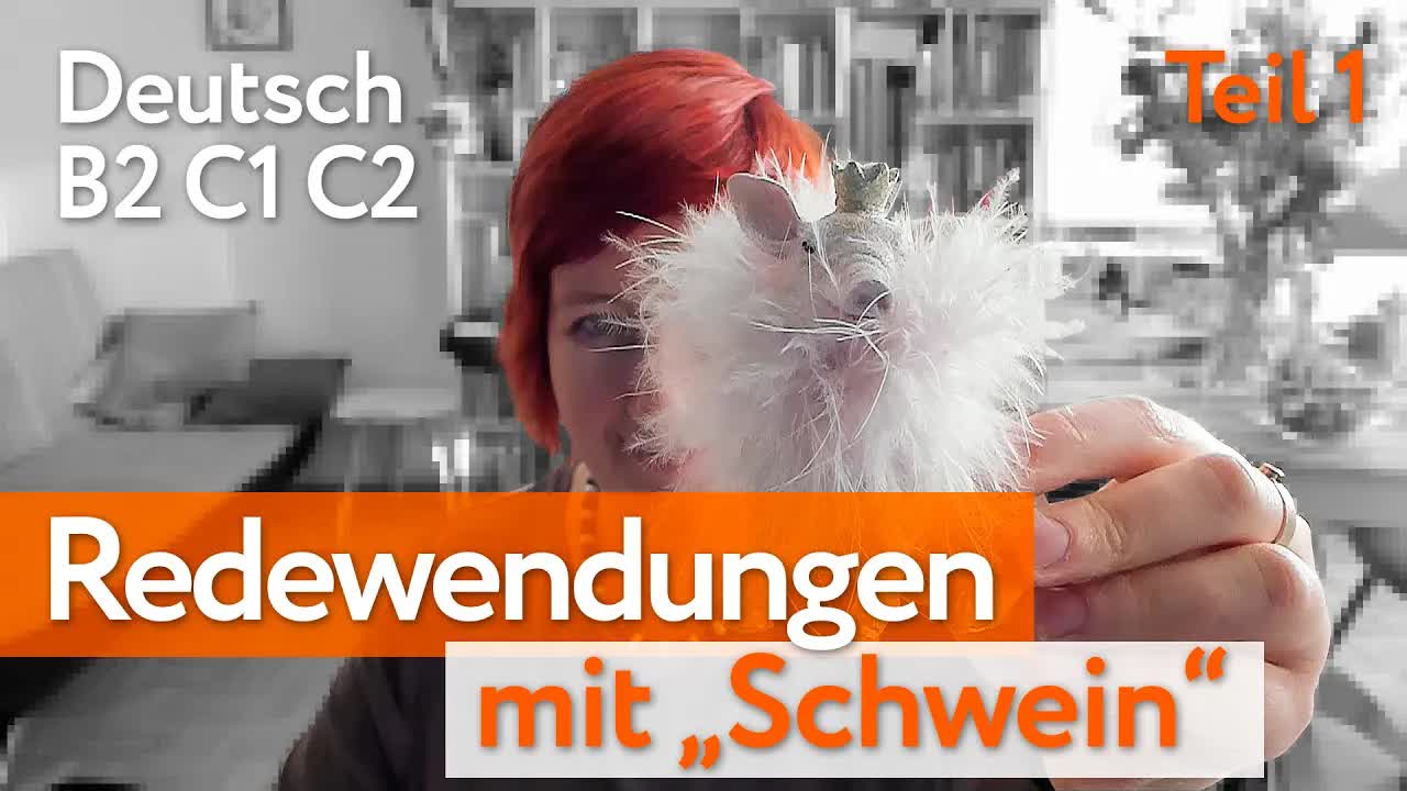اصطلاحات آلمانی با «Schwein» | قسمت ۱ | B2–C2